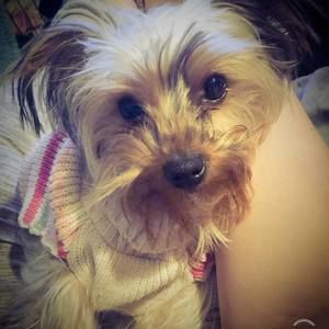 Meet your Posher, Janell